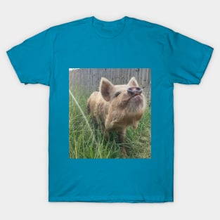 Stud T-Shirt